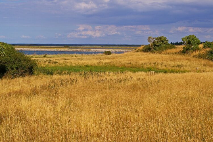 gate, denmark, danish coast